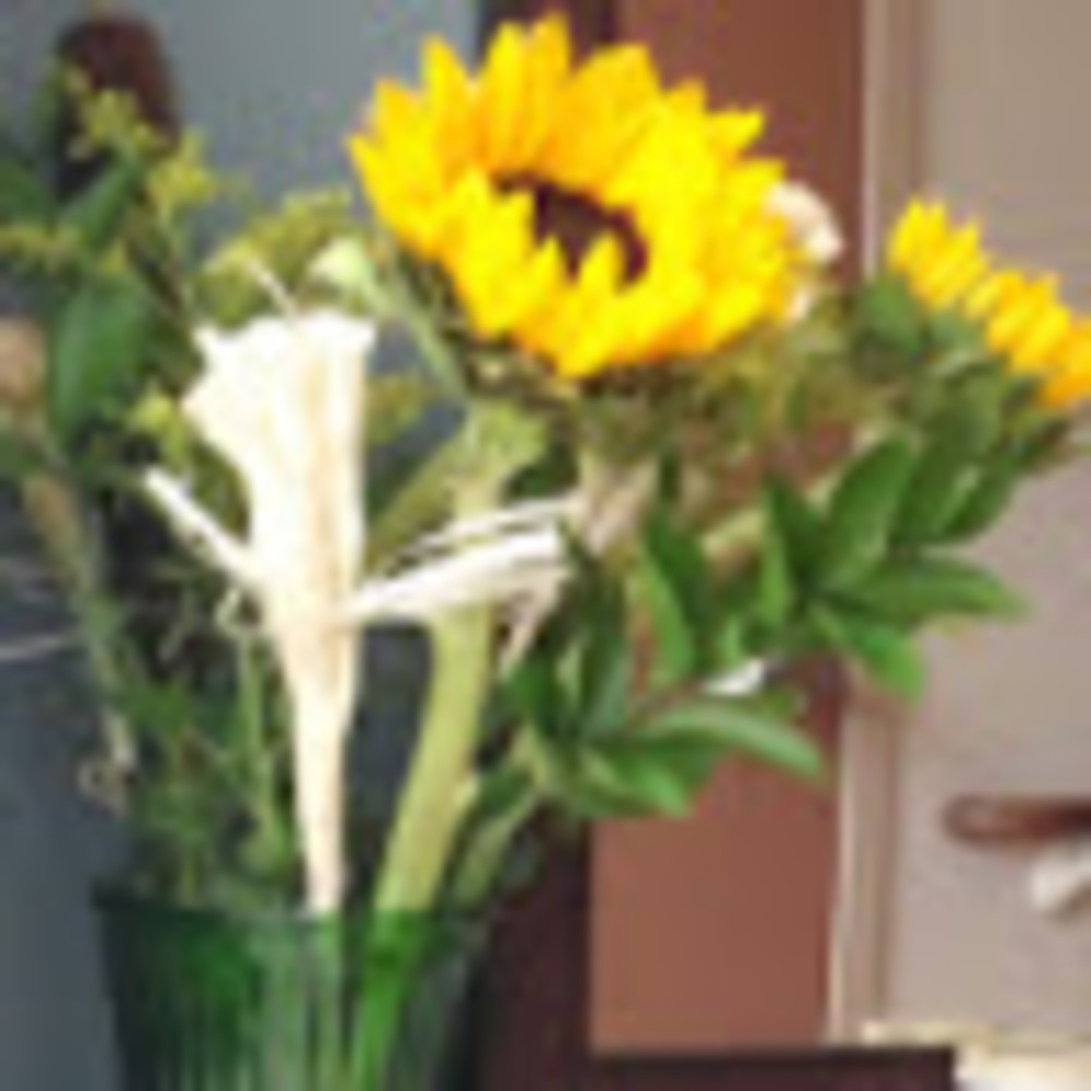 Meet your Posher, Gladdys